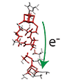 Electron Tunneling Pathways