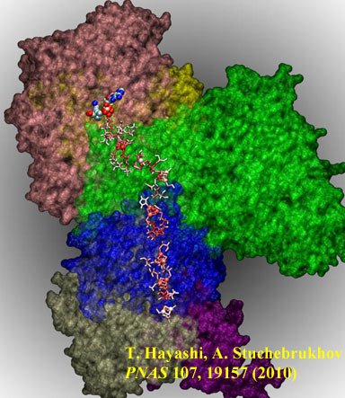 Electron Tunneling Pathways in Respitatory Complex I - PNAS 2010